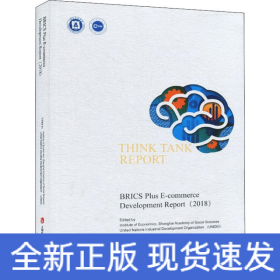 金磚+國家電子商務(wù)發(fā)展報(bào)告(2018)
