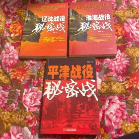 国共部队三大战役秘密战：辽沈、淮海、平津战役秘密战（地下工作历史纪实）