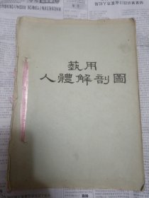 艺用人体解剖图（油印本）厅铁架4层