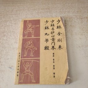 少林金刚拳 少林长护心意门拳 少林九节鞭