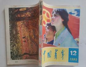 中国青年1982年（手工合订本）一厚册
