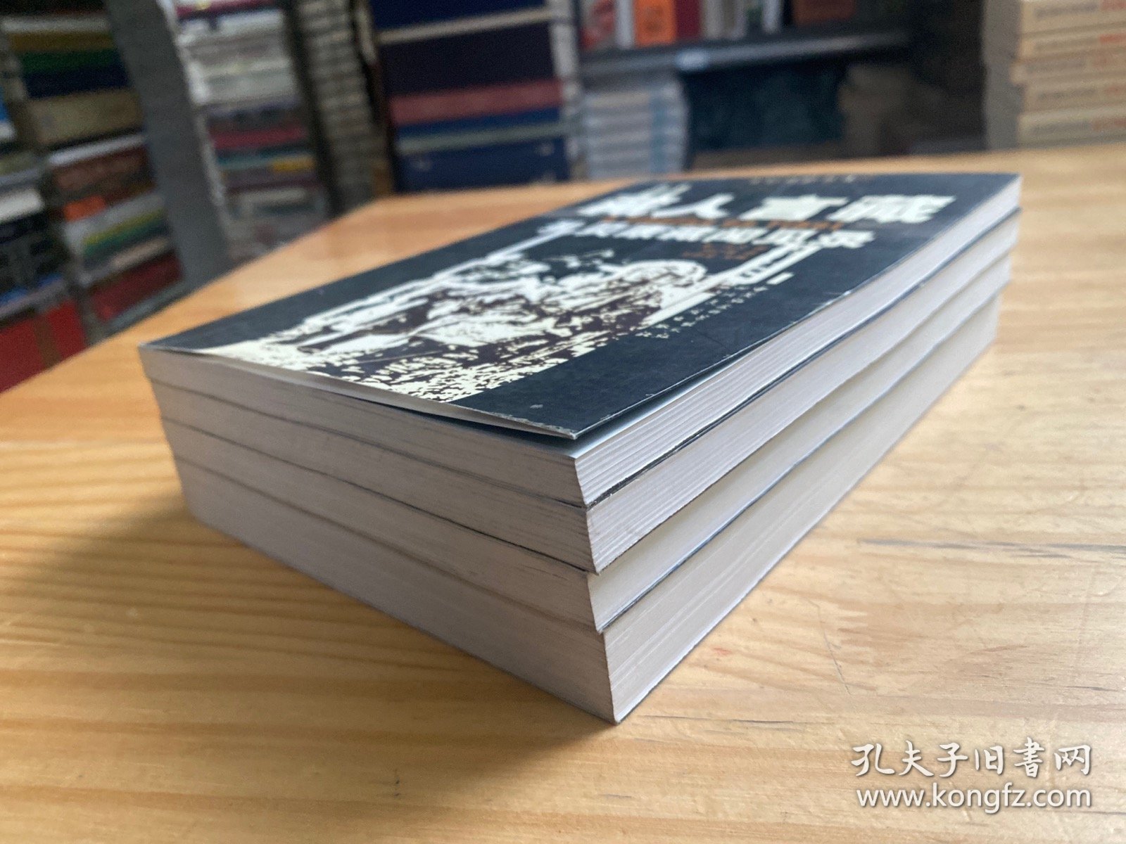 点击查看原图 雪域旧旅丛书:叩响雪域高原的门扉、藏人言藏、神秘的滇藏河流、在西藏高原的狩猎与旅游(四册合售)