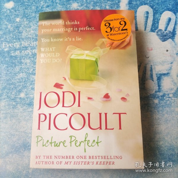 JODI picoult pictuie perfect