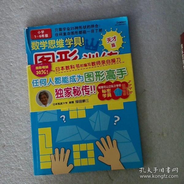 数学思维学具·图形训练：天才篇（小学1～6年级）