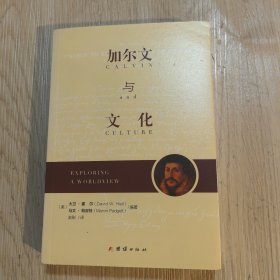 加尔文与文化