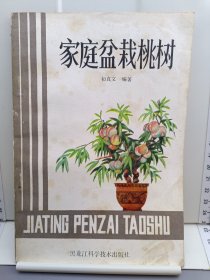 家庭盆栽桃树