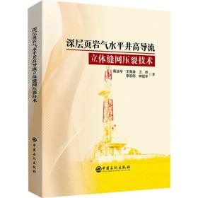 深层页岩气水井高导流立体缝网压裂技术 能源科学 蒋廷学 等 新华正版