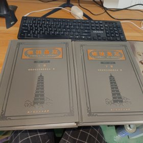 临桂县志 1991-2012 上下