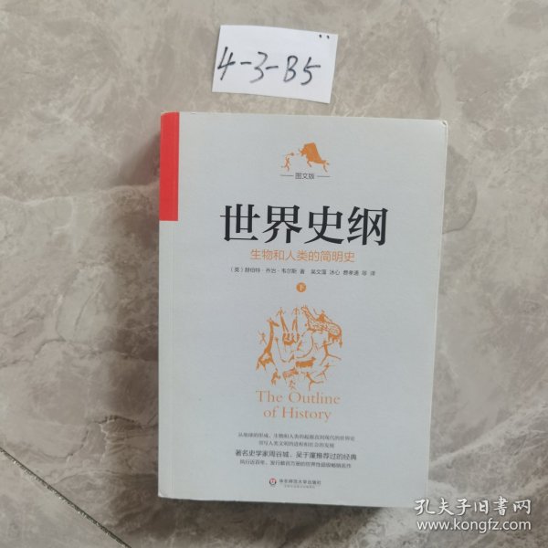 世界史纲：生物和人类的简明史（图文版套装上下册）