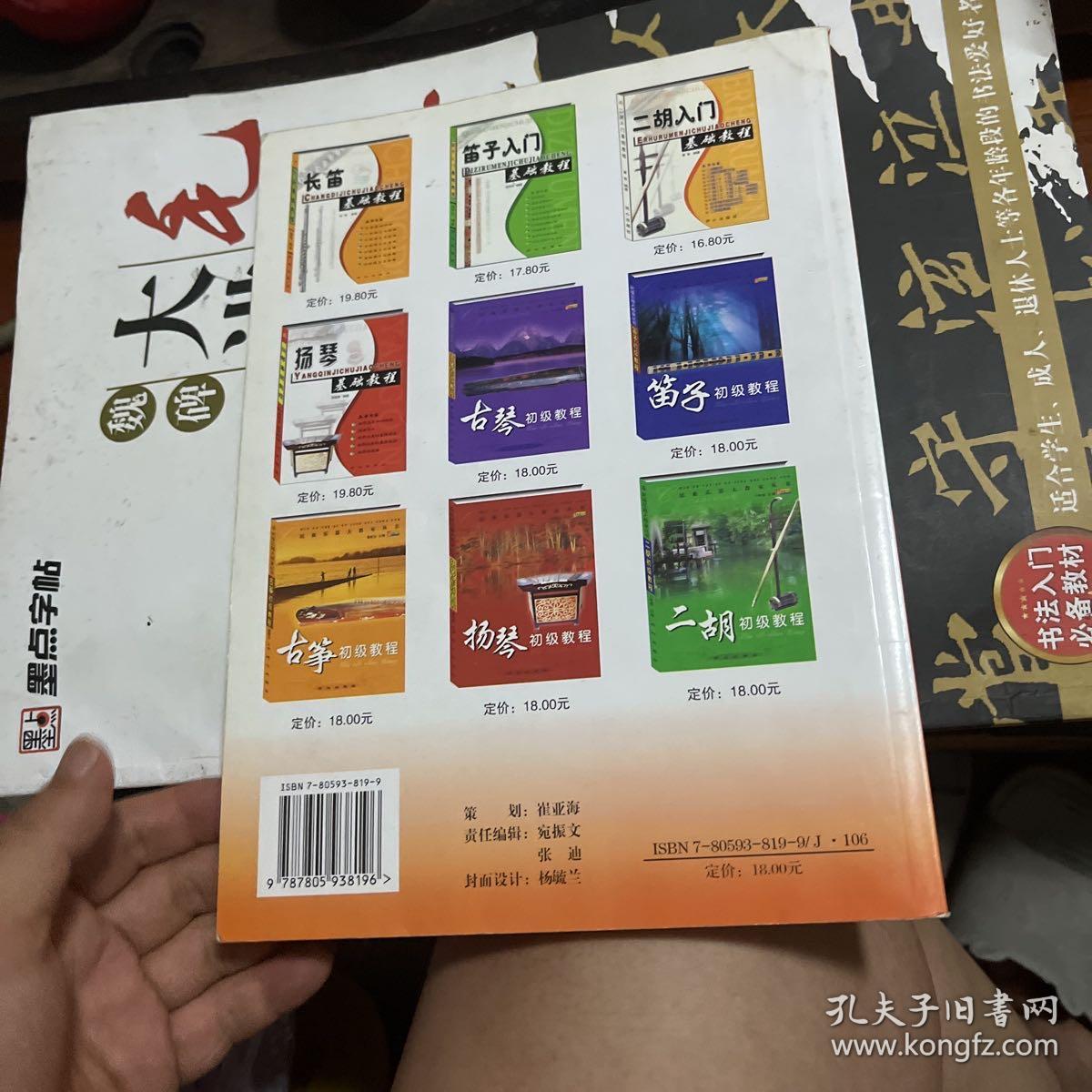 民族乐器大教室丛书：琵琶初级教程