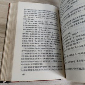 斯佳丽乱世佳人续集