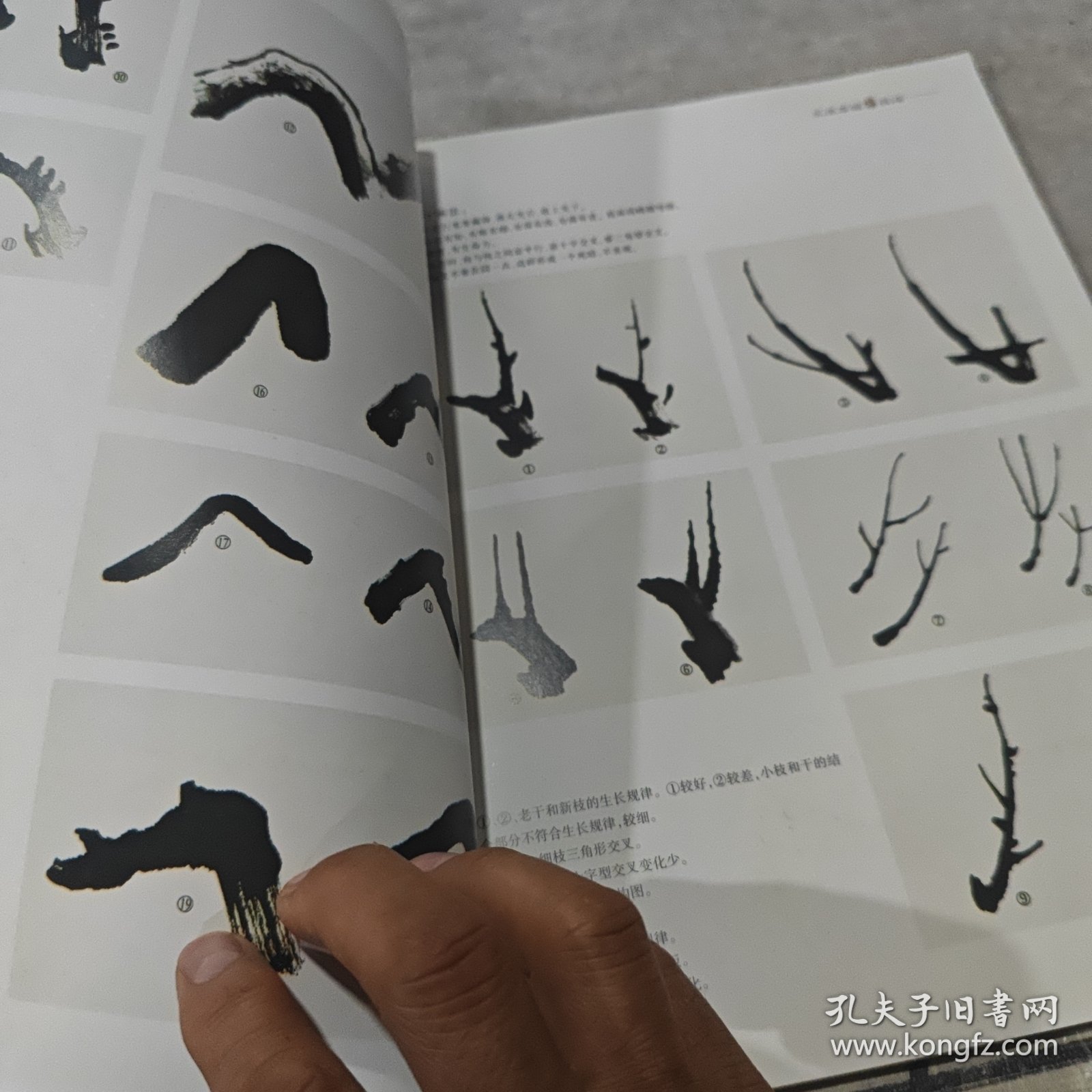 王成喜画梅技法