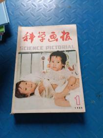 科学画报1985年月刊(全12)