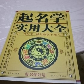 起名学实用大全