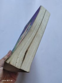 老武侠 护花神龙 上下