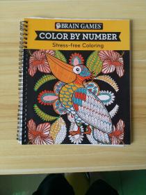 COLOR BY NUMBER Stress-free Coloring按照顺序涂色减压涂色(LMEB24725)