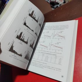 塔里木河流域生态系统综合监测与评估
