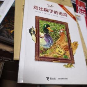 走出院子的母鸡