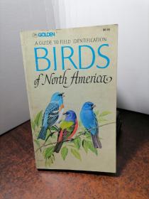 BIRDS OF NORTH AMERICA