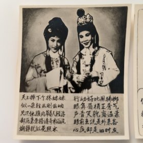 黑白照片：越剧《红楼梦》剧照 大小不一 共5张合售 文件盒十五