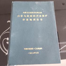 内蒙古自治区苏尼特左旗白音乌拉煤田芒来煤矿详查地质报告