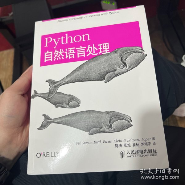 Python自然语言处理