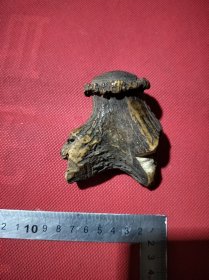 清代角制品一大块