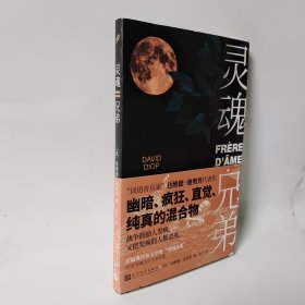 “词语音乐家”达维德·迪奥普代表作：灵魂兄弟（揭示荒谬的真相：战争鼓励人发疯，又把发疯的人都杀死）