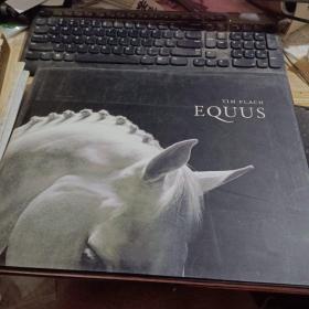Tim Flach Equus精美艺术画册（书脊脱封）