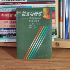 第五项修炼：学习型组织的艺术与实务