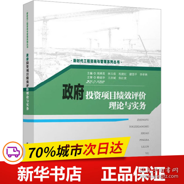 政府投资项目绩效评价理论与实务