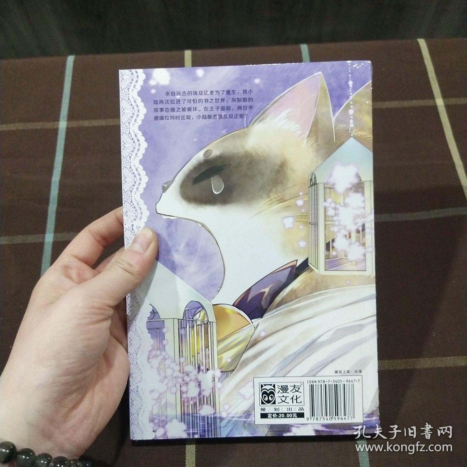 塑封 魔法少女小陆3
