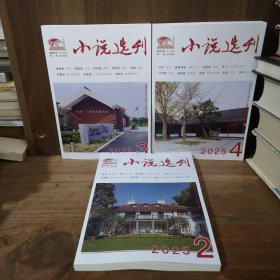 小说选刊 2025年第2、3、4期