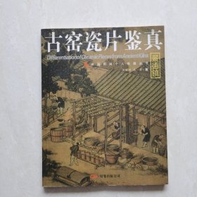 中国民间个人收藏丛书：古窑瓷片鉴真（景德镇）