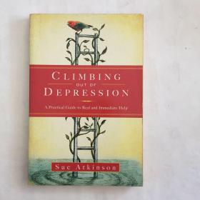 英文原版 Climbing Out of Depression: A Practical Guide to Real and Immediate Help  摆脱忧郁症：实用的即时和即时帮助指南