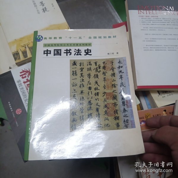 中国书法史(中国高等院校公共艺术课系列教材)