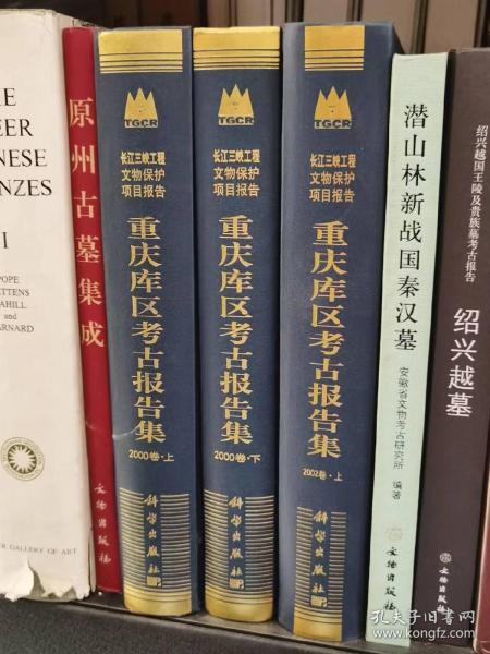 重庆库区考古报告集 2002卷 上、中、下册