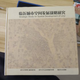临沂城市空间发展战略研究