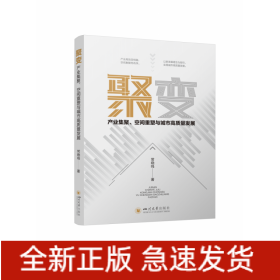 聚变：产业集聚、空间重塑与城市高质量发展