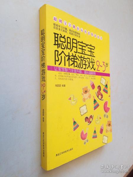 聪明宝宝都在玩的思维游戏书：聪明宝宝阶梯游戏（2-3岁）