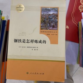 统编语文教材配套阅读 八年级下：钢铁是怎样炼成的/名著阅读课程化丛书