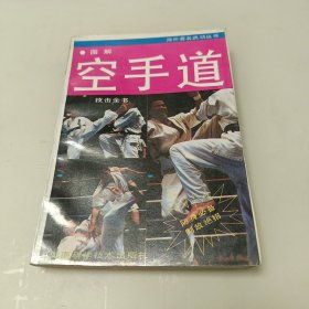 图解空手道技击全书