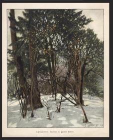 1895年德国木刻套色石印版画金色树苗