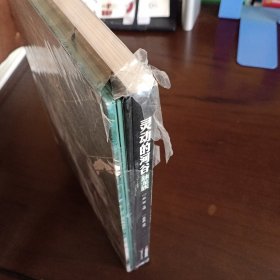 《灵动的河谷 独龙族》+DVD【未拆封但封膜已破。品如图，所有图片都是实物拍摄】