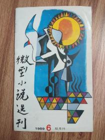 微型小说选刊 1989.6