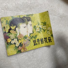 迟开的花朵连环画