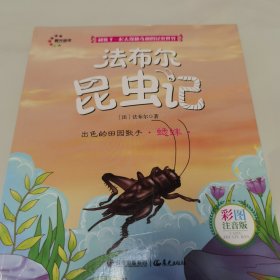 出色的田园歌手：蟋蟀（彩图注音版）/法布尔昆虫记