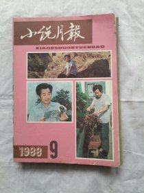 小说月报1988年第9期