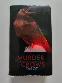 Murder of crows tarot 塔罗牌