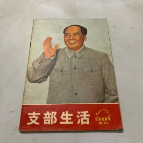 支部生活 革命样板戏画刊